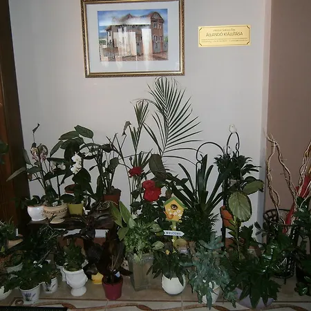 Hotel Magdalena Hajduszoboszlo